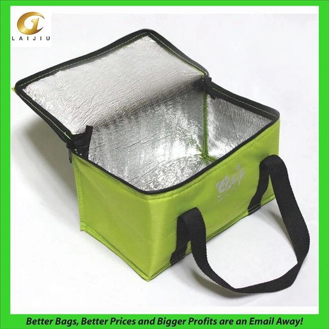 Insulated Promotional Can Cooler Bags for Food Package, Insulated Picnic Lunch Bag Large Soft Cooler Bag for Outdoor/Camping/BBQ/Travel