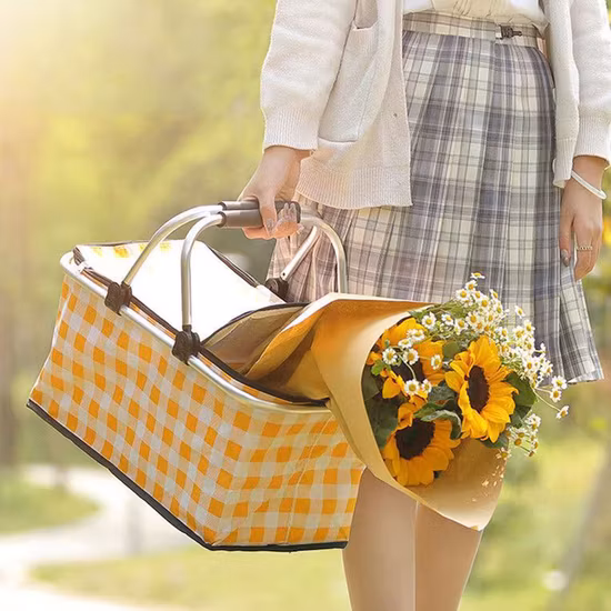 Foldable Picnic Tote Picnic Cooler Basket Custom Insulated Collapsible Cheap Kids Picnic Baskets